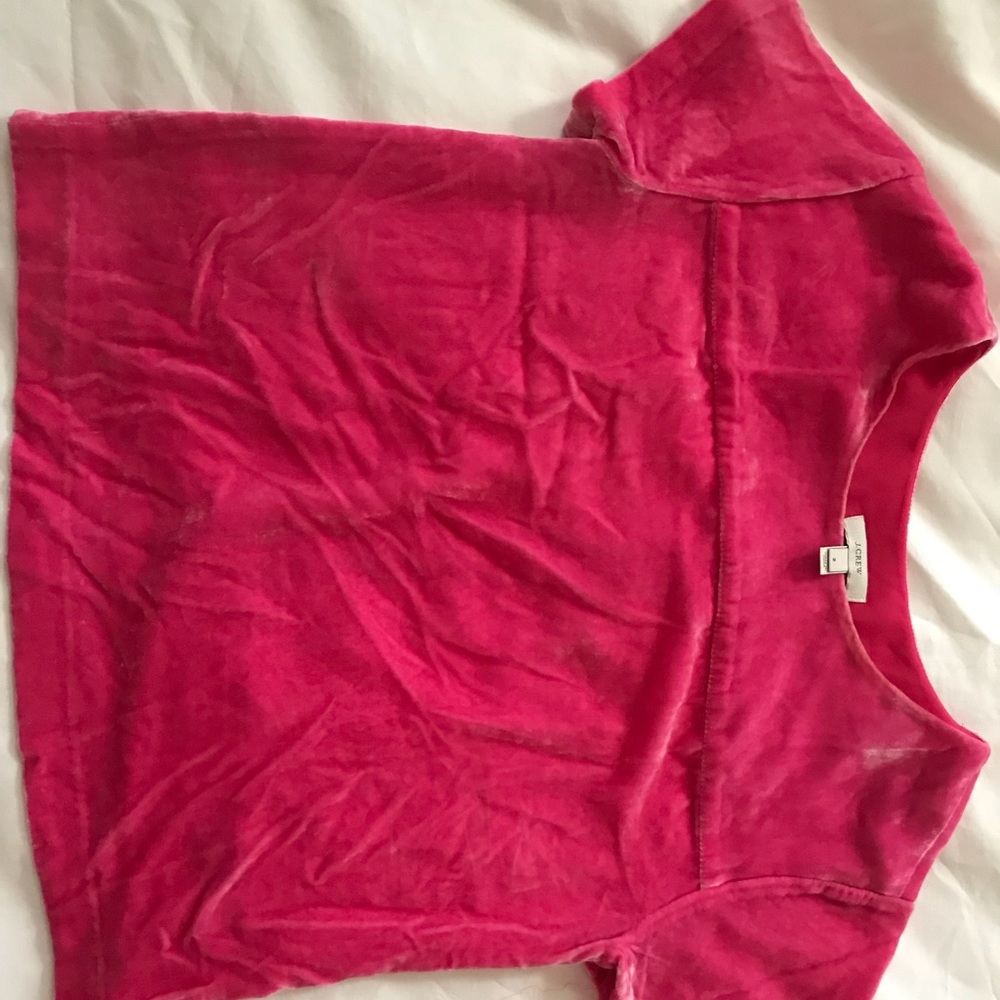 Pink Velvet JCrew Top Size 2